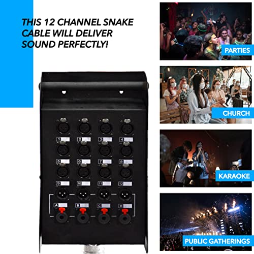 Seismic Audio - Sals-12X4X50 - 12 Channel 50' Pro Stage Xlr Snake Cable (Xlr & 1/4" Trs Returns) For Recording, Stage, Studio Use #TOP4