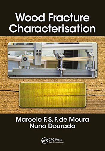 Wood Fracture Characterization guide de modélisation des fissures