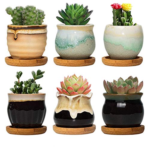 FairyLavie 6.5CM Ceramic Succulent Plant Pot, Rustic Style Cute Little Pots for Plants, Planter with...