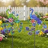 YNGFIL 2 Pack Peacock Metal Decorative Garden Stakes - 29.5 Inch Patio Decor Art and Rust Resistant Metal Garden Decor for Indoor and Outdoor Decor - Perfect for Patio and Lawn Ornaments