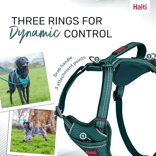Image of Halti Anatomy Dog Harness with Handle | Size L, Teal | Padded, Adjustable & Reflective No Pull Dog Harness, 3 Leash Attachment Points including Front Clip, Suitable for Large Dogs