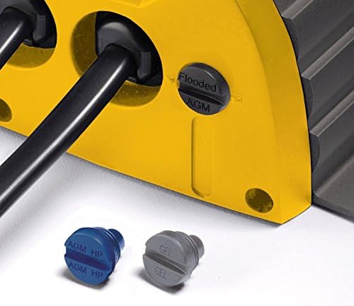 Close-up of battery type selection caps