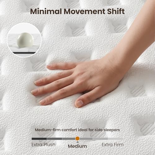 https://m.media-amazon.com/images/I/51vuYxXYbXL.jpg