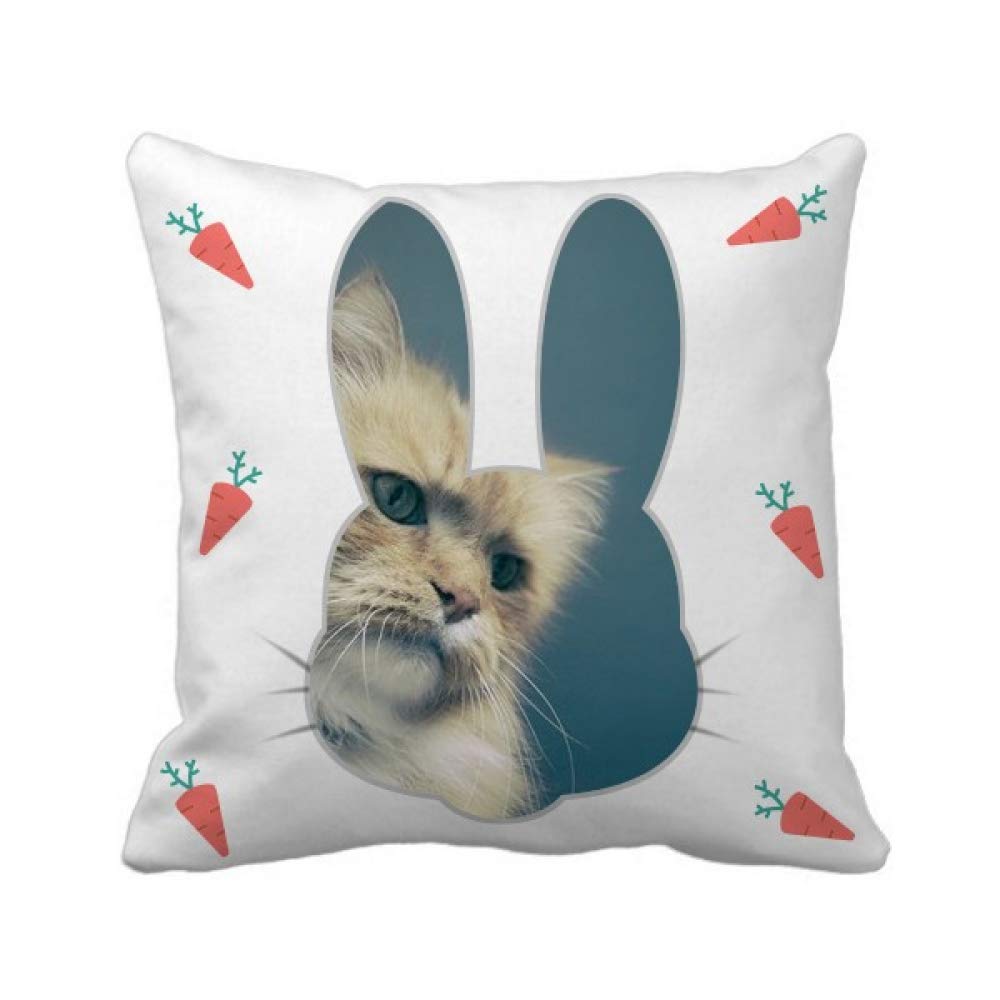 Coussin carré Blue Cat Photographie Pousse Lapin, idée cadeau animaux