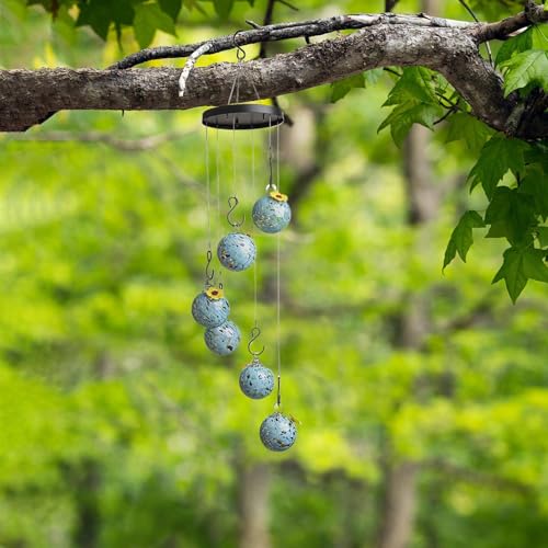 Distributeur d'eau pour perroquet extérieur avec mangeoire métal
