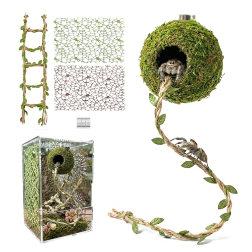 Magnetic Jumping Spider Hideout Habitat Dcor Kit - Handmade Moss Hideout with Climbing Rope Hemp Rope Bridge 2Pcs Climbing Web& Loose Moss Fun Enclosure Accessories for Climbing & Hiding (4.5cm)
