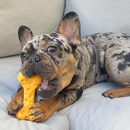 Nylabone Dura Power Chew, Extreme Kauknochen mit Geschmackslöchern, Käsegeschmack, für mittelgroße Hunde bis 16kg, Medium