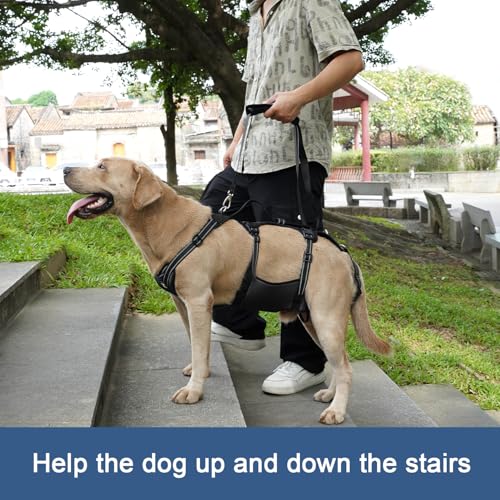 COODEO Dog Lift Harness, Full Body Support & Recovery Sling, Pet Rehabilitation Lifts Vest Adjustable Breathable Straps for Old, Disabled, Joint Injuries, Arthritis, Paralysis Dogs Walk (Black, L) - Image 3