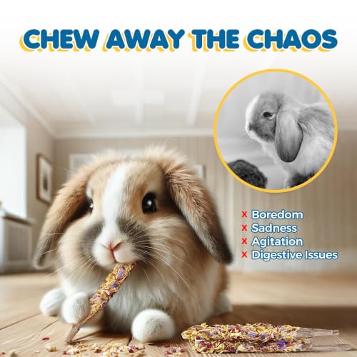 Image of SunGrow Apple Sticks, Wood Chew Treats for Rabbits, Chinchillas, Bunny, Hamster, Squirrel, Guinea Pigs, Small Animals Molar Pet Chew Toys for Teeth Grinding (20 Pcs)