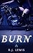BURN (Ignite Book 2)