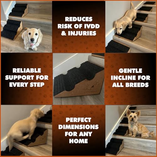 StairWedge Hundetreppe – Einzelne, weiche Teppichrampe für Haustiere, geriffelte Sicherheitsstufe für sicheres Klettern, Rampe aus Naturkork für Hunde, Katzen und Kleintiere zur Mobilitätshilfe