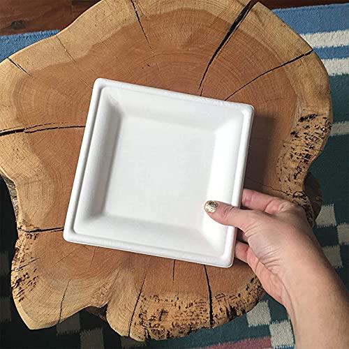 Bangshou 100% Compostable 6 Inch Square Plates [50 Pack], Heavy Duty Paper Plates White, Biodegradable Disposables Plates, Natural Sugarcane Bagasse Plates For Party Dinner Birthday Dessert Plates #TOP5