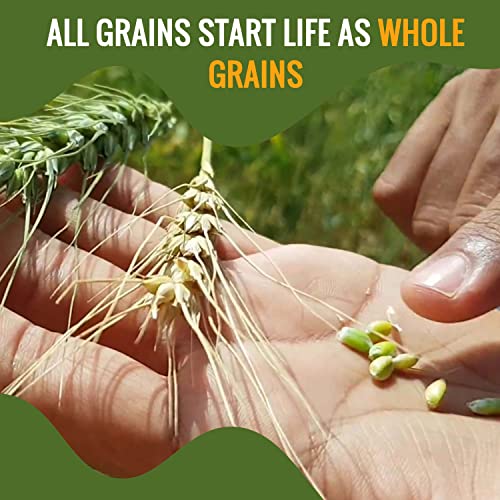 Future Essentials All Purpose White Flour 100 Natural Whole Grain