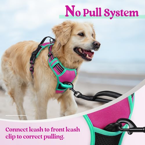 Image of rabbitgoo Dog Harness No Pull with 2 Leash Clips, Adjustable Soft Padded, Reflective Oxford No Choke Pet Vest with Easy Control Handle for Large Dogs, Hot Pink & Turquoise, XL