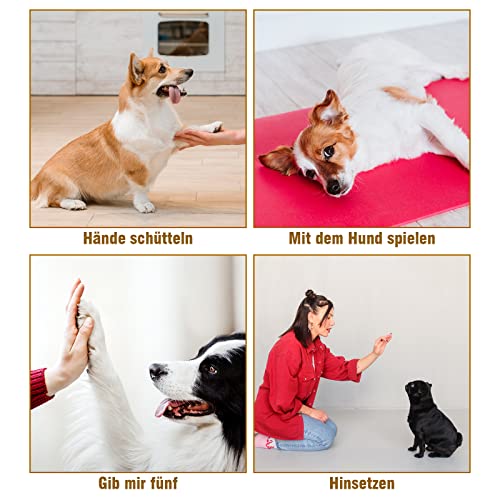 Toozey Hunde Clicker, 5 Stück Clicker mit Handschlaufe, Klicker mit Großem Knopf, 5 Farben, Bonus E-Book (Weiß+Grau+Rosa+Blau+Grün)