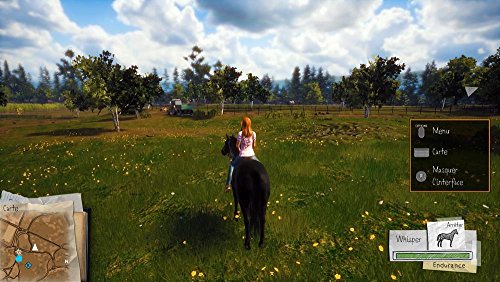 Whisper: Libres comme le vent