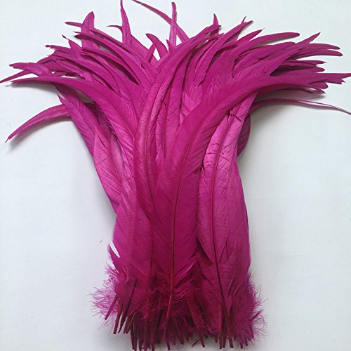 Sowder Coque Queue de coq plumes 16–45,7 cm réalisés par lot de 20 fuchsia