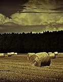  Notebook: Farm Hay Bales Straw ranch agriculture dairy livestock vineyard farmer dairy