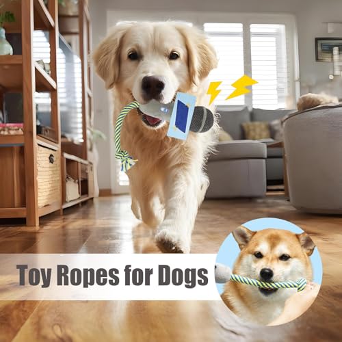 Lbgjbv ł߂,}CN^Lʂ݂ xt - ybgpi ܌ ^ m\ߋ g[jO V p