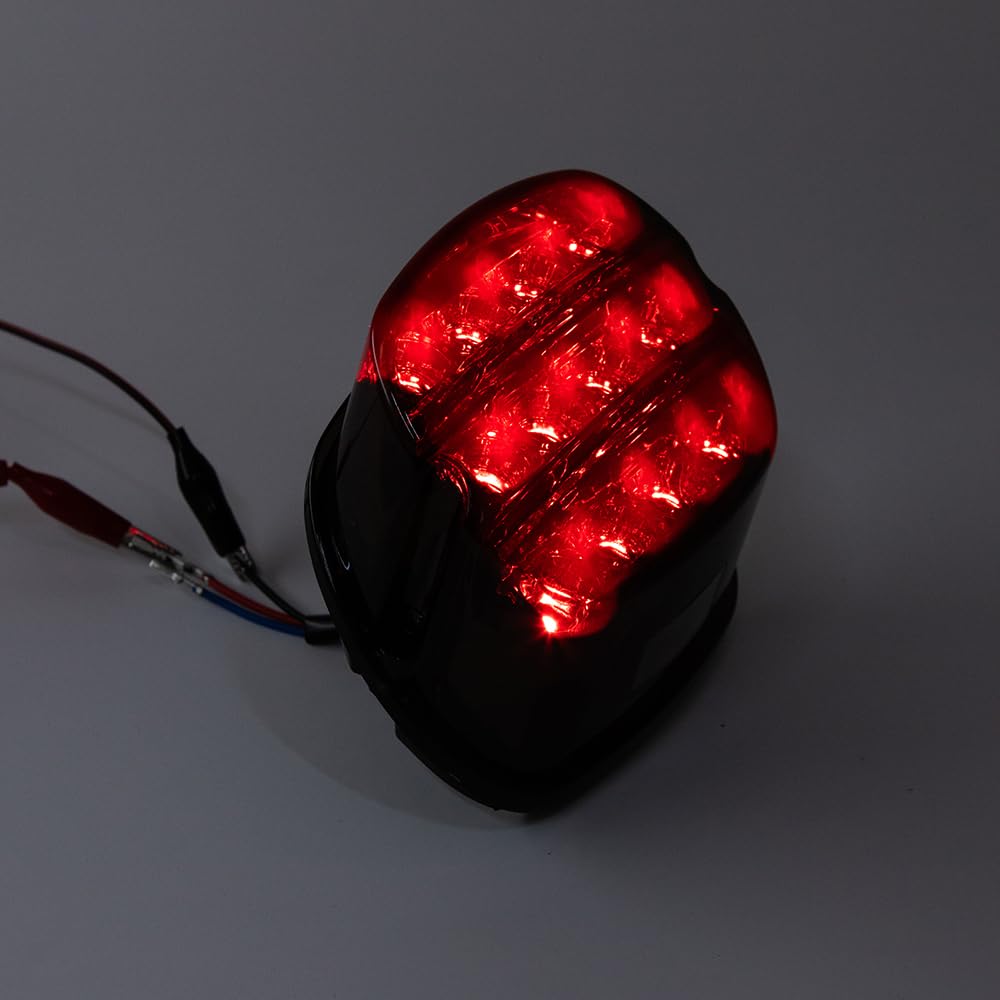 Luce posteriore per moto 12V Luce di stop a LED Luce posteriore per targa per Road King Electra Glide Street Bob Touring Luci posteriori (Nero)