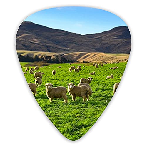 Médiators pour guitare Cotton Sheep Médiators pour guitare 12 paquets – Variété de médiators pour guitare Plectres - Les Beatles, Paul McCartney, John Lennon, RIngo Starr, George Harrison Médiators pour guitare Cotton Sheep Médiators pour guitare 12 paquets - Variété de médiators pour guitare Plectres