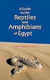 A Guide to the Reptiles and Amphibians of Egypt