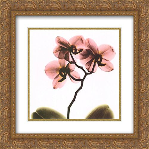 Crystal Flowers X-Ray, Orchid 2X Matted 16x16 Gold Ornate Framed Art Print by Albert Koetsier