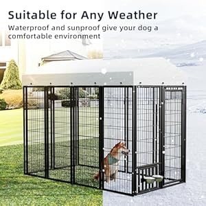 Large-Outdoor-Dog-Kennel-Welded-Wire-Dog-Enclosures-for-Outside-Heavy-Duty-Outdoor-Dog-Cage-with-Waterproof-and-Sunproof-Top-Cover-and-Safety-Lock-for-Outdoor-Use-65L-x-35W-x-59H - Cucciolini Doodles   Large-Outdoor-Dog-Kennel-Welded-Wire-Dog-Enclosures-for-Outside-Heavy-Duty-Outdoor-Dog-Cage-with-Waterproof-and-Sunproof-Top-Cover-and-Safety-Lock-for-Outdoor-Use-65L-x-35W-x-59H