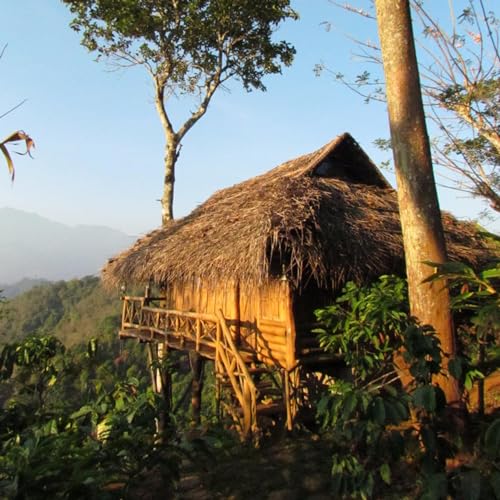 কেরালার কথা :- অচেনা ওয়ানাড় ( পর্ব ২) : Unknown Wayanad (Episode 2)