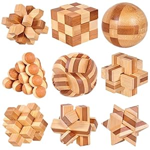 Houten Brain Teaser Puzzels Set