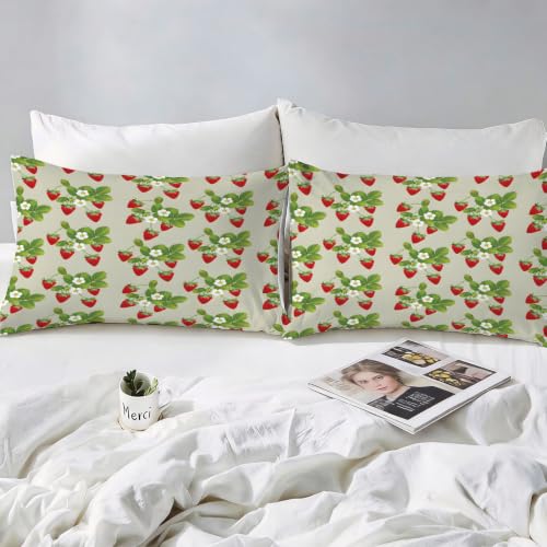 Parure de lit 200 x 200 en microfibre douce et thermorégulatrice pour lit double