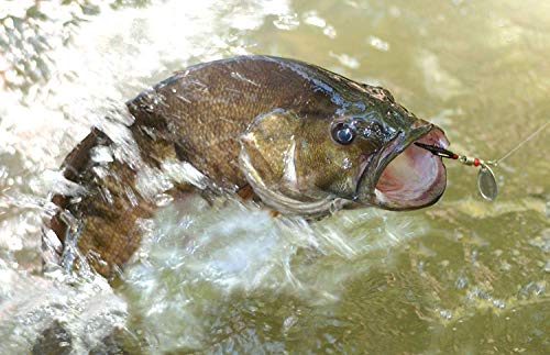 Angelköder,Blinker/Spinner/Wobbler Set,Angelset mit Tragetasche für Hecht,Zander,Barsch und Forelle – Bild 7