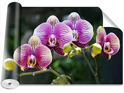 Papier peint orchidée violette haute définition format XL 312x219