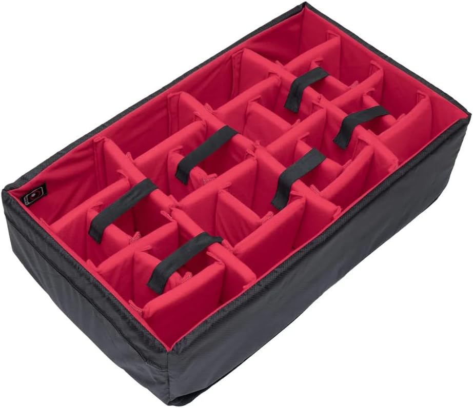 期間限定販売❗️》 『オトンナ カカリオイデス』 極美特大株 現地球