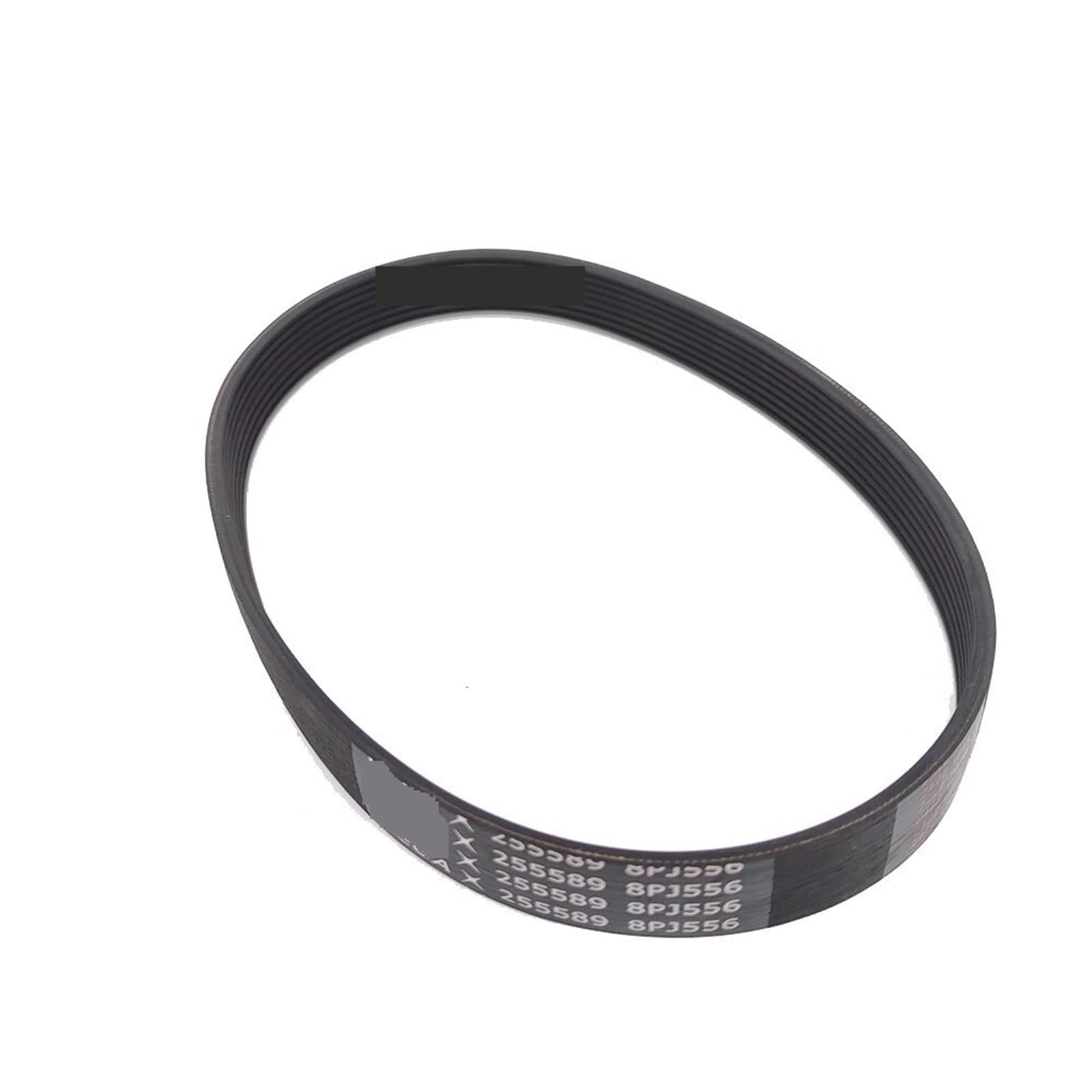 VEGA V-belt 8PJ556 8Ribs correa de motor para cinta de correr transmisión ranura múltiple