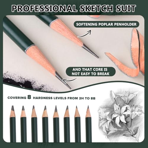 BINYI Skizzen Zeichen Bleistift Set Zeichenstifte Professionell Zeichenset Malset mit Graphitstift Kohlestifte für Zeichnen Skizzieren für Künstler Erwachsene Teenager 19 Stück