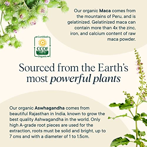 Ora Organic Natural Hormone Balance Support & Hormonal Acne Relief for Women - Support Skin, Mood, Energy, PMS & Menopause - Formulated with Ashwagandha, Maca, Burdock Root, Cordyceps & Acerola Cherry - Image 6