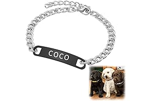 z23z Dog Collar, Titanium Steel, Lost Pill