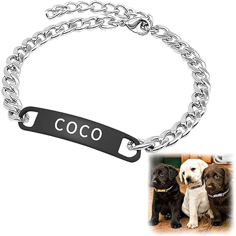 z23z Dog Collar, Titanium Steel, Lost Pill