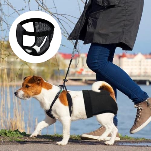 GIDWRIY 2 Pack LäUfigkeitshose für HüNdinnen M,Schutzhose Hündin Mit 6 Damenbinden,Hundehosen Bei Läufigkeit,Schutzhöschen Hunde Periodenhöschen,Höschen Hund Läufigkeit,Waschbare Hundewindeln