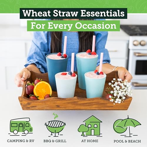 Grow Forward Premium Wheat Straw Cups - 13 & 20 oz Unbreakable BPA Free Hard Plastic Cups - Reusable Lightweight Plastic Drinking Glasses for Kitchen, Outdoor, Water, Camping, RV - Seascape