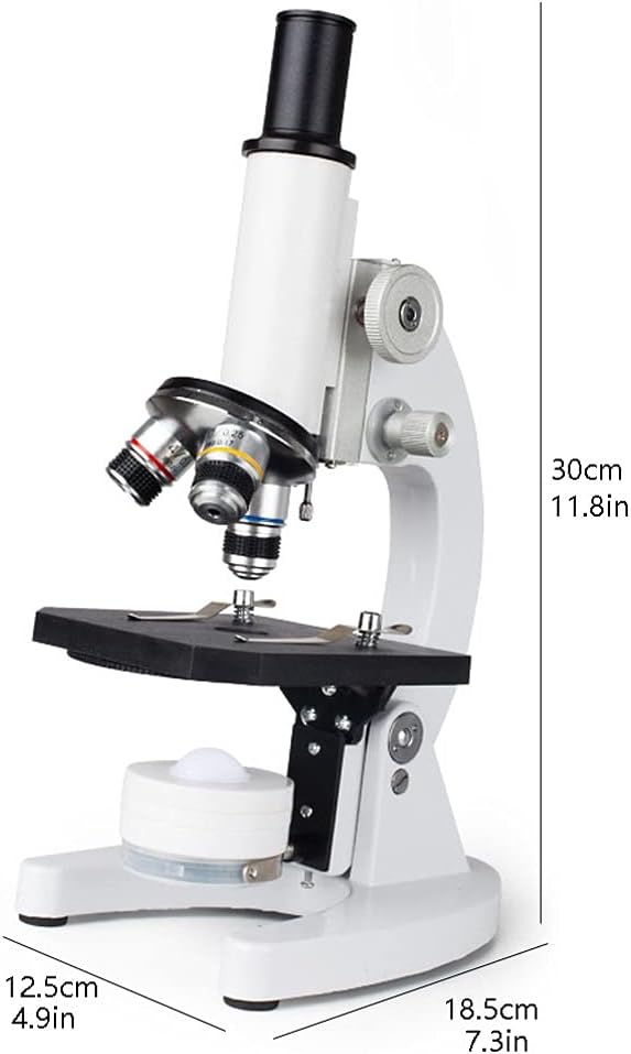 ⭐︎値下げ⭐︎ヘラクレスオオカブト 標本 樹脂 琥珀 ヘラクレスオオカブト 標本 琥珀樹脂 <0622z昆虫樹脂標本> ヘラクレス