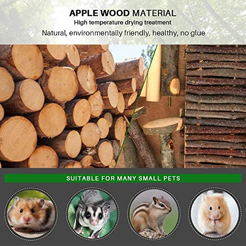 Image of Hamster Climbing Toys - Wooden Activity Set with Large Bridge, Apple Wood Chewing Toys for Small Pets