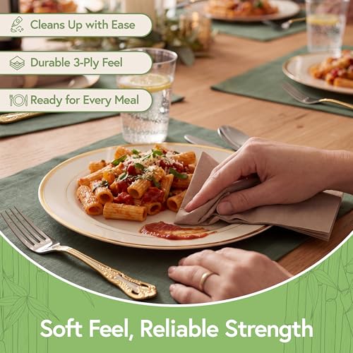 Image of Jenvita 100% Bamboo Compostable Napkins, 3 Ply, 250 Pack, 7.5 x 8 Inch | Heavy Duty, Eco Friendly, FSC Certified, Lunch, Dinner, Events, Entertaining, Paper Towels