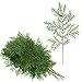 BESTTOYHOME 12 Pcs Artificial Cedar Picks Faux Cedar Greenery Spray Branches Christmas Cedar Twig Stems Cedar Sprigs 13" x 6.3" (LXW) for Holiday Season Winter Décor