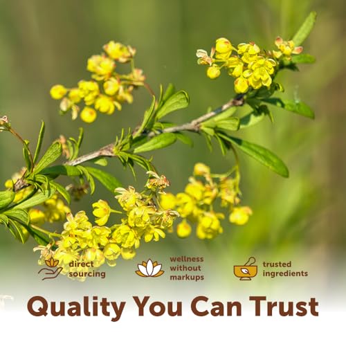 Micro Ingredients Berberine with MCT Oil