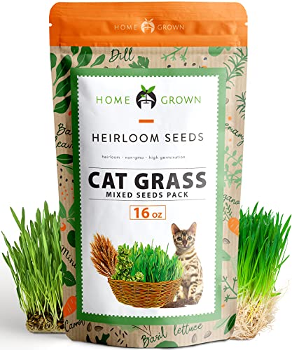 Cat Grass Seeds (16oz) - Oat Seeds & Barley Seeds Mix - Keep Pets Healthy with Cat Grass for Indoor Cats - Cat Grass Seeds Bulk - Refill Cat Grass Growing Kit - 100% Non-GMO, Heirloom Cat Grass Seed