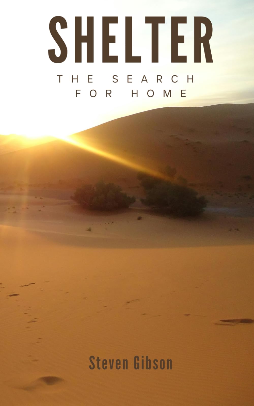 Shelter: The Search for Home