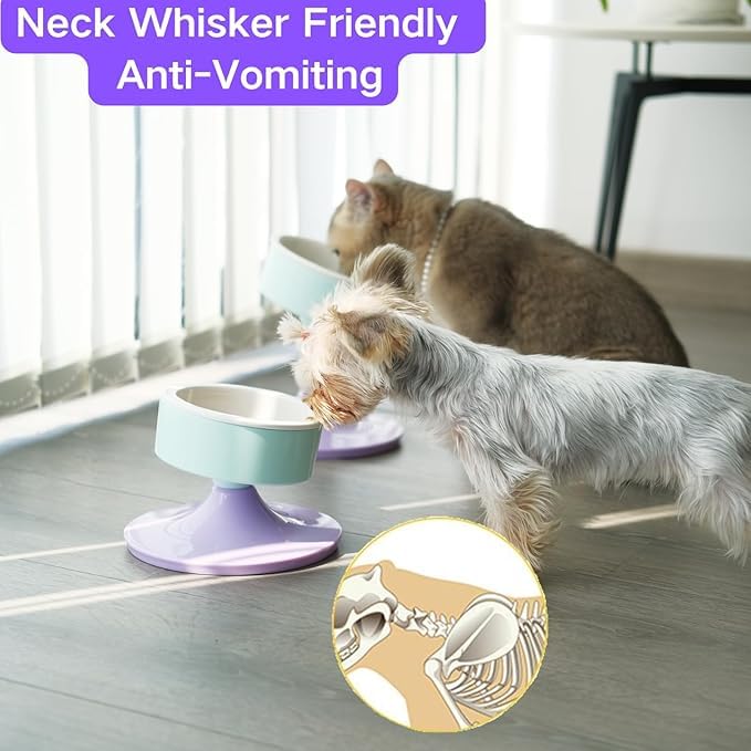 KUTKUT Ceramic Elevated Raised Cat & Small Dogs Bowl, Cat Food Dish with Stand, 3 Height Adjustable Raised Dog Bowl Stand for Small Dog Cats,Adjusts to 4.69",5.98",7.28"(Capacity:350ml, Mint Lavender) 1