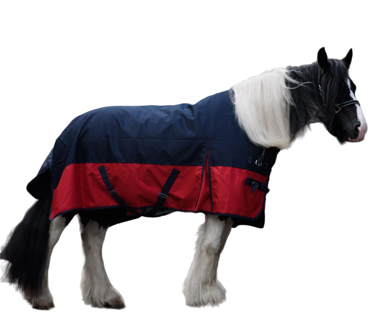 Pferdedecke 1200D High Neck Weidedecke Winterdecke Regendecke Turnout : 50g Red/Black 165